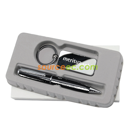 Key chain & Pen