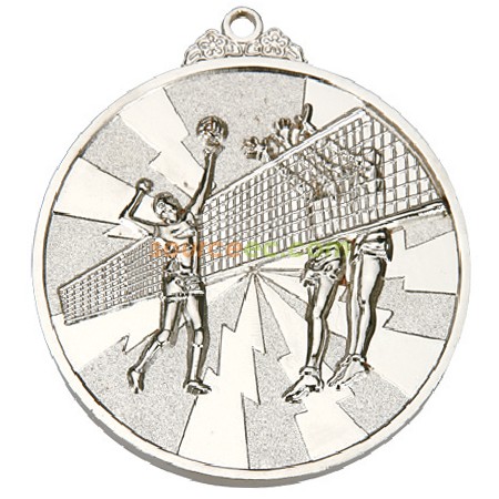 Customization Volley Ball Medal Corporate Gifts