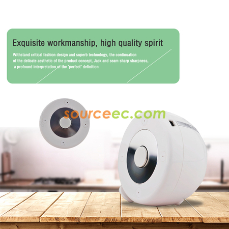 Customization Piggy Speaker Corporate Gifts