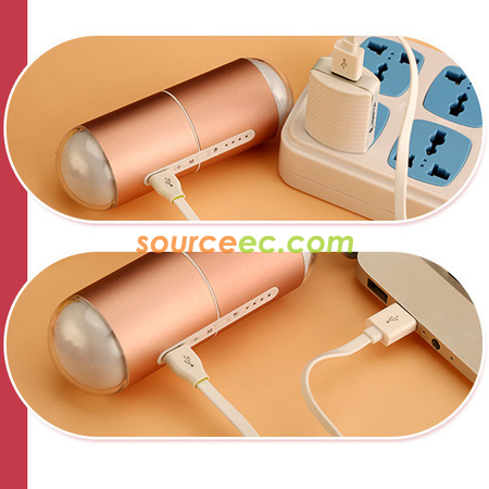 Customization Power Bank Corporate Gifts