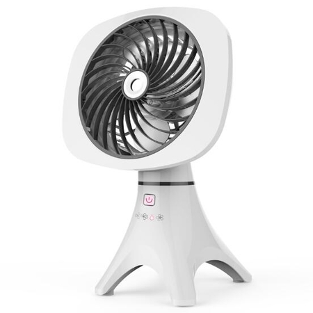 Customization Spray fan Corporate Gifts