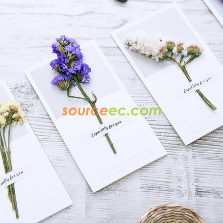 Customization Dried Flower Greeting Card Corporate Gifts