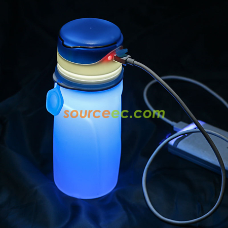 Customization LED Silicone Folding Water Bottle Corporate Gifts