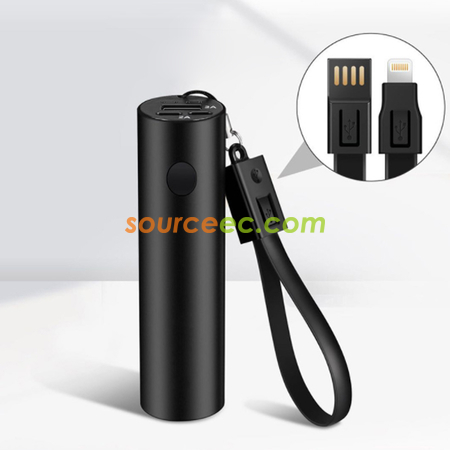 Powerbank With Torch