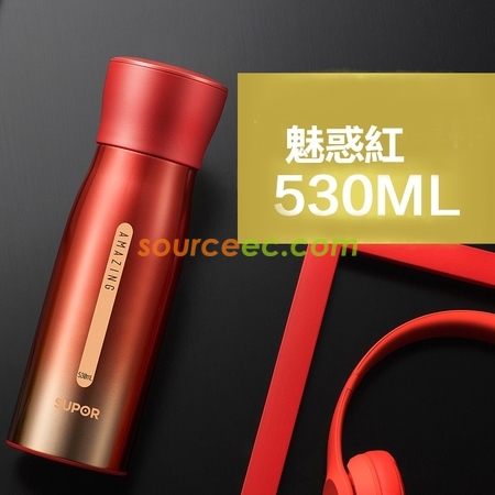 Customization Aurora Thermos Cup Corporate Gifts