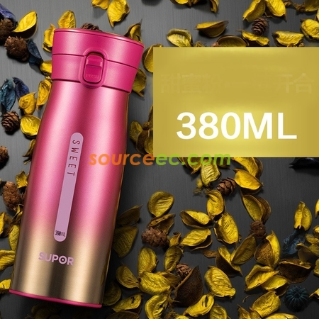 Customization Aurora Thermos Cup Corporate Gifts
