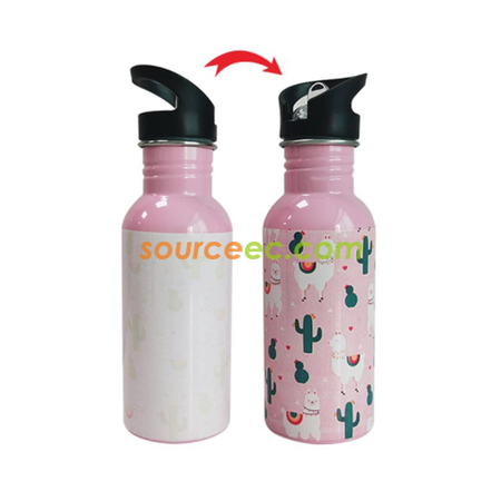 Customization Stainless steel Color-Changing Bottle Corporate Gifts