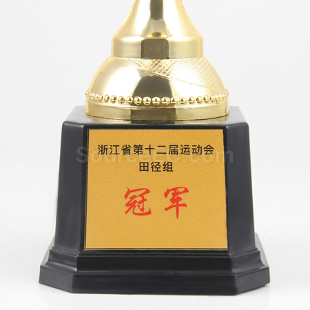Customization Trophy Cup Corporate Gifts