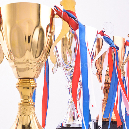 Customization Trophy Cup Corporate Gifts