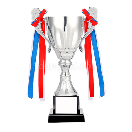 Customization Trophy Cup Corporate Gifts