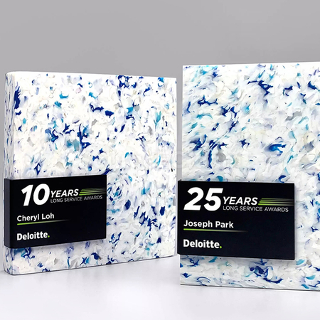 Customization Environmental Protection Award Corporate Gifts