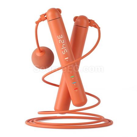 Customization Bluetooth Smart Jump Rope Corporate Gifts