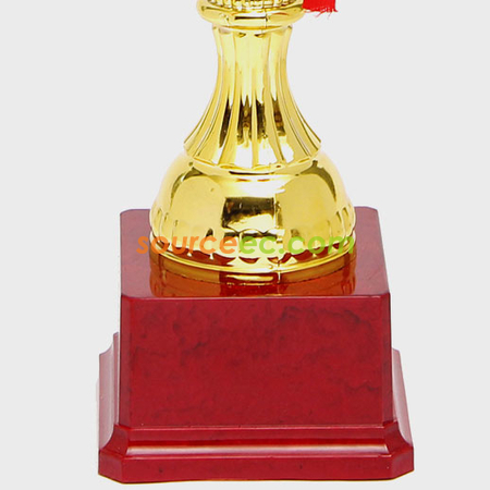 Customization Trophy Cup Corporate Gifts