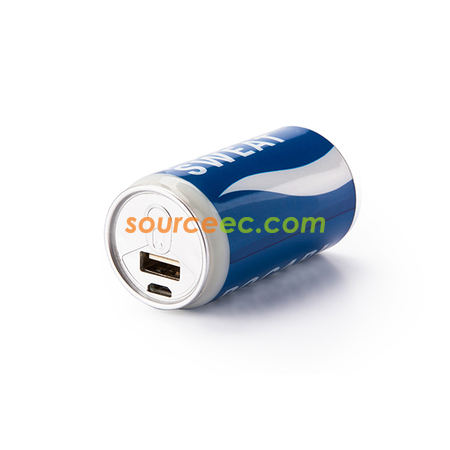 Portable Mobile Power