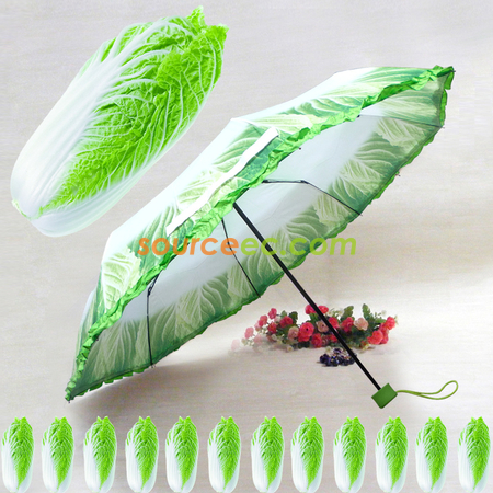 Cabbage Umbrella