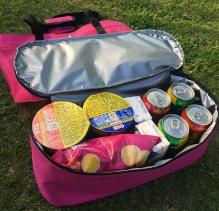 Customization Mesh Thermal Bag Corporate Gifts