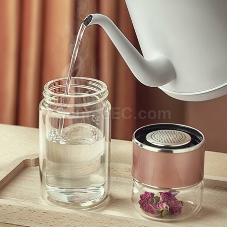 Customization 280ML Portable Glass Bottle with Infuser Corporate Gifts
