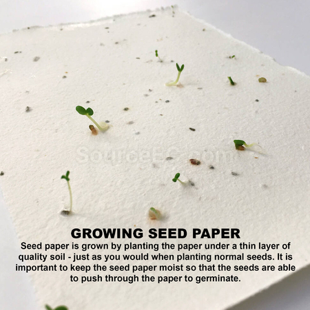 Customization Daisy Seed Sticky Note Pad Corporate Gifts