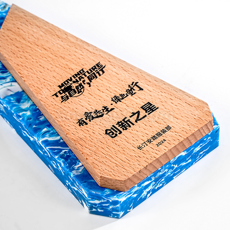 Customization Environmental Protection Award Corporate Gifts