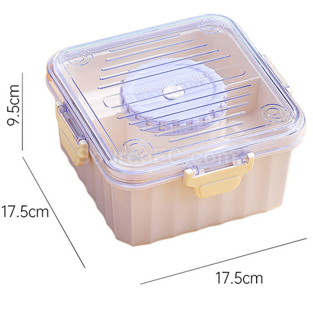 Customization Transparent Salad Lunch Box Corporate Gifts