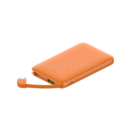 Customization 10000mAh dual line fast charging power bank Corporate Gifts