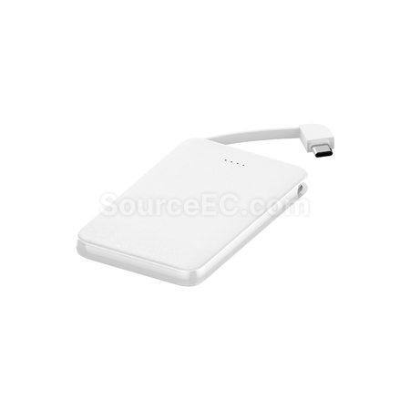 Customization 10000mAh dual line fast charging power bank Corporate Gifts