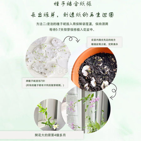 Customization Seed Paper Cup Cover Corporate Gifts