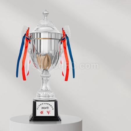Customization Metal Trophy Corporate Gifts