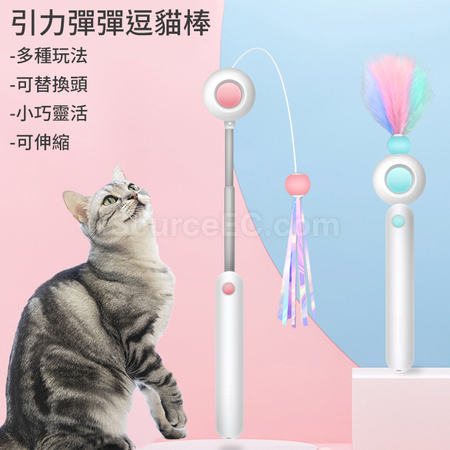 Cat Teaser