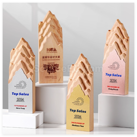 Creative Metal and Solid Wood Trophy