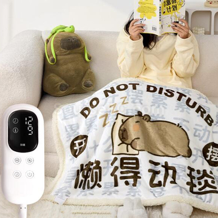 Electric Blanket