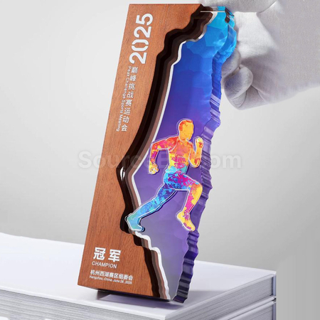 Customization Creative Wood Award Corporate Gifts