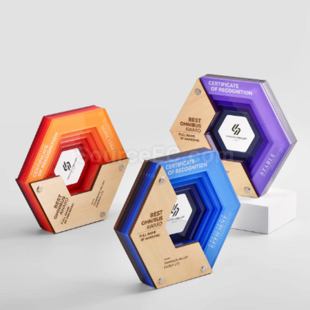 Customization Multi-layer Acrylic Wooden Trophy Corporate Gifts