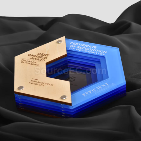 Customization Multi-layer Acrylic Wooden Trophy Corporate Gifts
