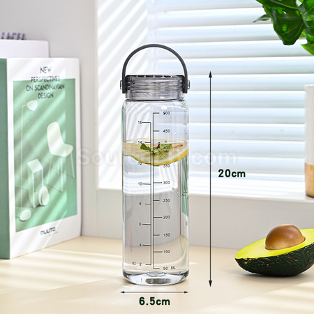 Customization 500ML Promotional Bottle Corporate Gifts