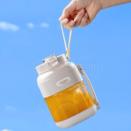 Customization Portable Juicer Corporate Gifts