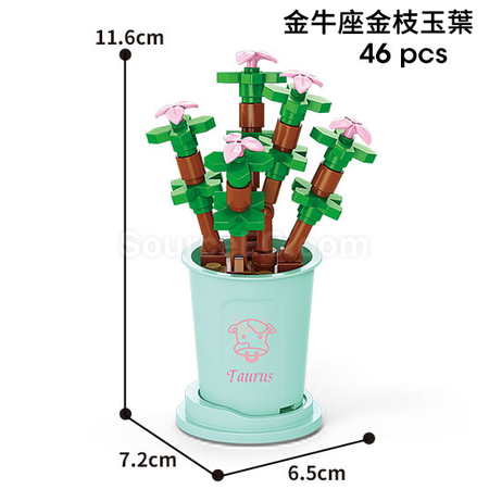 Customization Coffee Cup Plant Series Building Blocks-12 Constellations Succulent Series Corporate Gifts