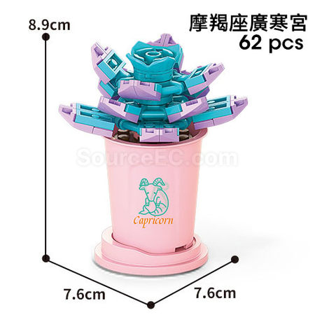 Customization Coffee Cup Plant Series Building Blocks-12 Constellations Succulent Series Corporate Gifts