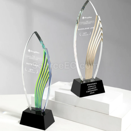 Customization Trophy Corporate Gifts