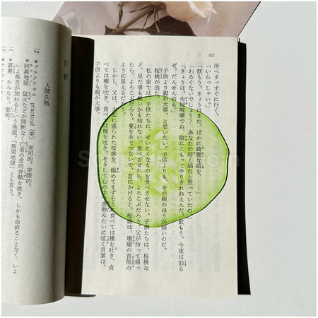 Customization Promotional Acrylic Bookmarks Corporate Gifts