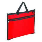 Document Bag