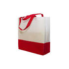 Non-Woven Bag