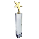 Custom Star Trophy