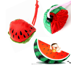 Non-Woven Bag 