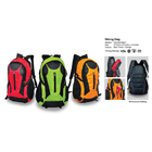 Hiking Bag