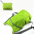 Folding Backpack
