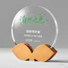 Crystal Trophy